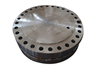 熱い販売ISO9001は鋼鉄ディスクのあたりの304 316高圧D900鋼鉄Tubesheetを証明する